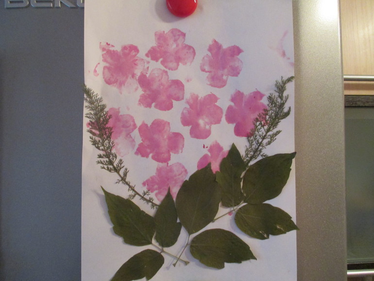 ФМ Моя семья. День третий