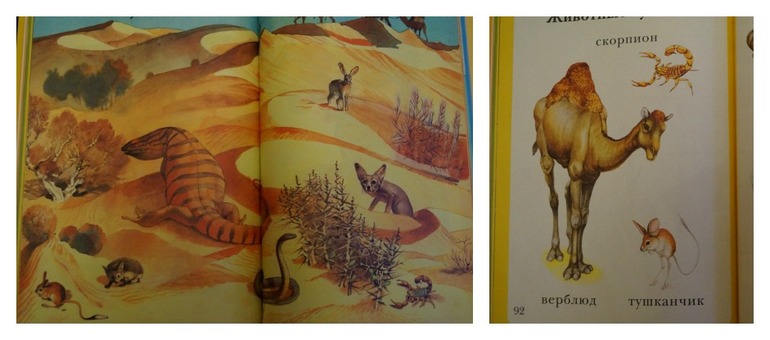 ТН Африка. День 3. Путешествие по пустыне.