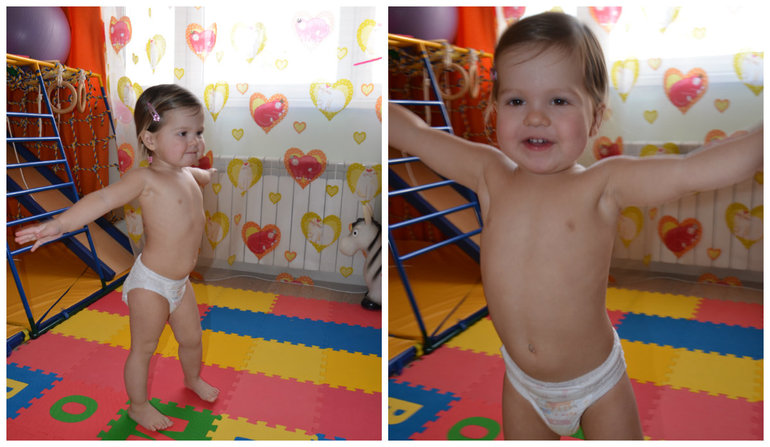 ТН Птицы. Городские.