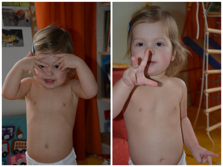 ТН Насекомые. Муха, жуки, кузнечик.