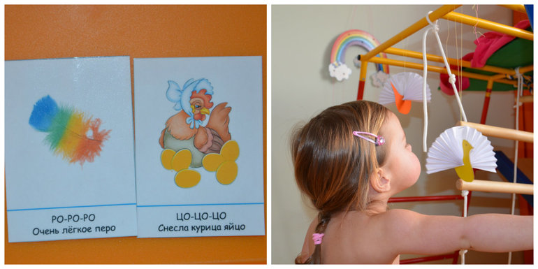 ТН Птицы. Городские.