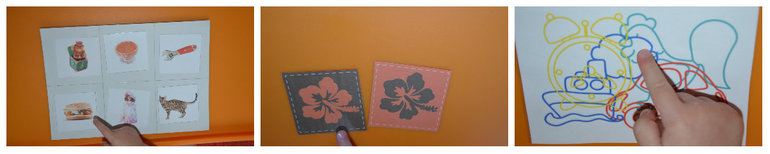 ТН Птицы. Домашние.