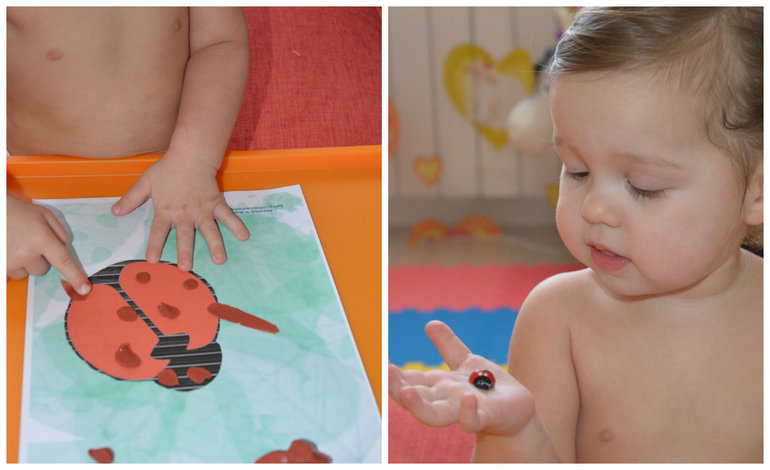 ТН Насекомые. Божья коровка.