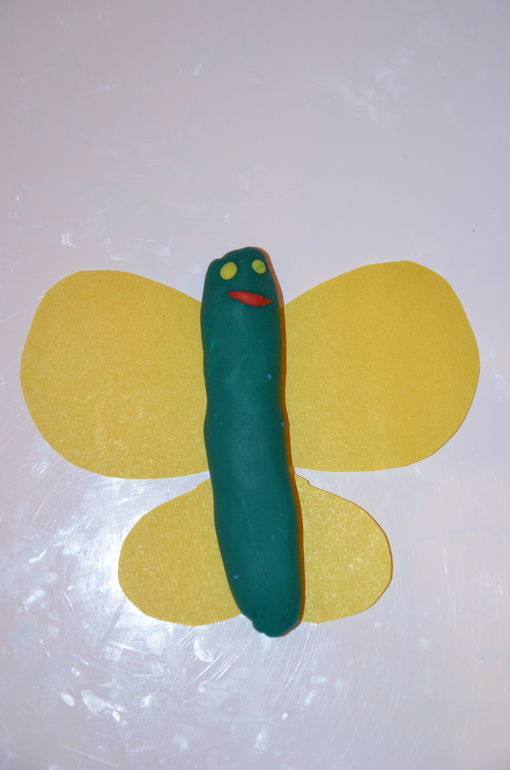 ТН Насекомые. Бабочка.