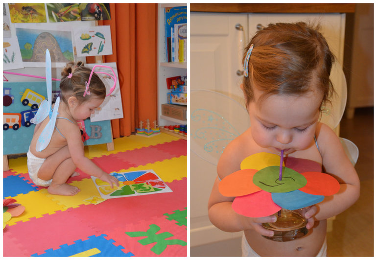 ТН Насекомые. Бабочка.