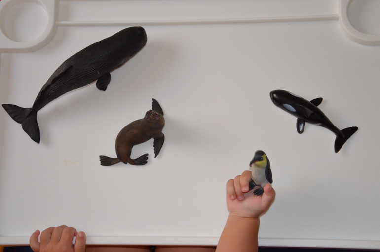 ТН Арктика и Антарктида. День 2.