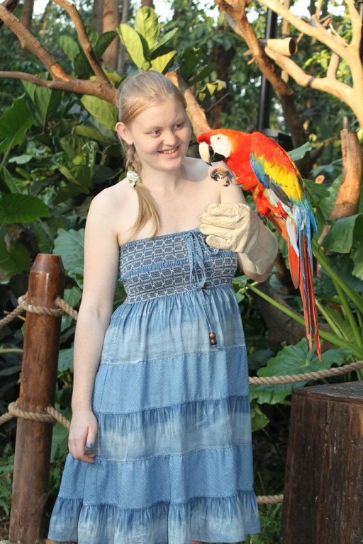 История моей беременности