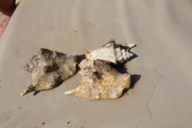 Про наш отдых