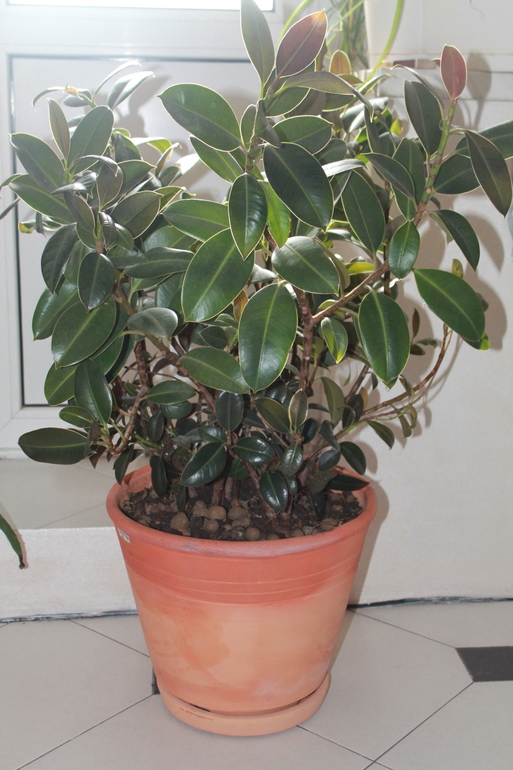 Ремонт кухни продолжается