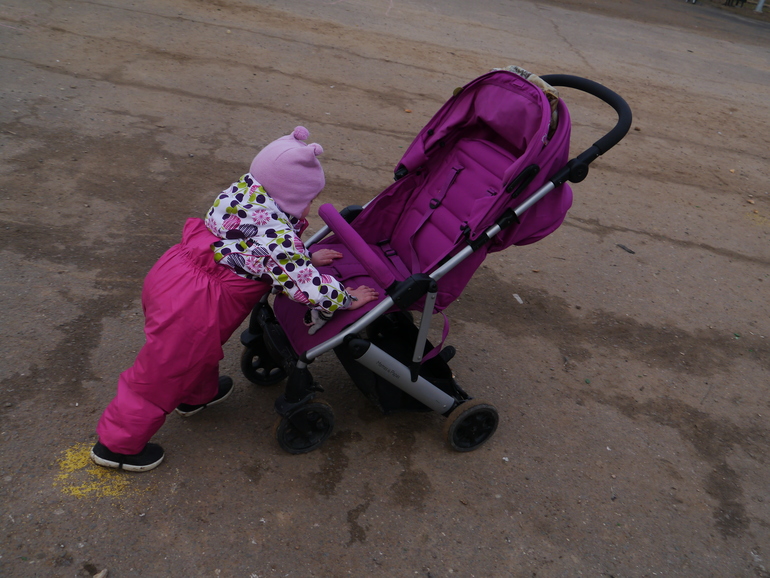 Наша помощница- MAMAS& PAPAS LUNA