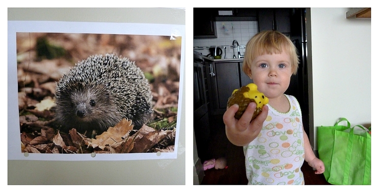 ТН Дикие животные. Ёж