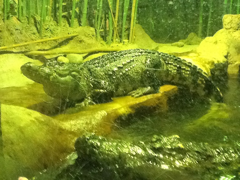 ЗООПАРК  продолжение 01.05.2014