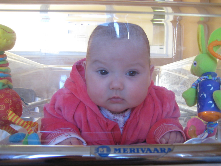 Рассказ про первый триместр Кукусиной жизни