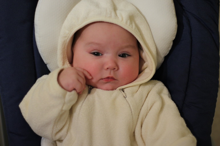 Рассказ про первый триместр Кукусиной жизни