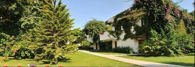 Турция, Кемер, Club Boran Mare Beach HV-1