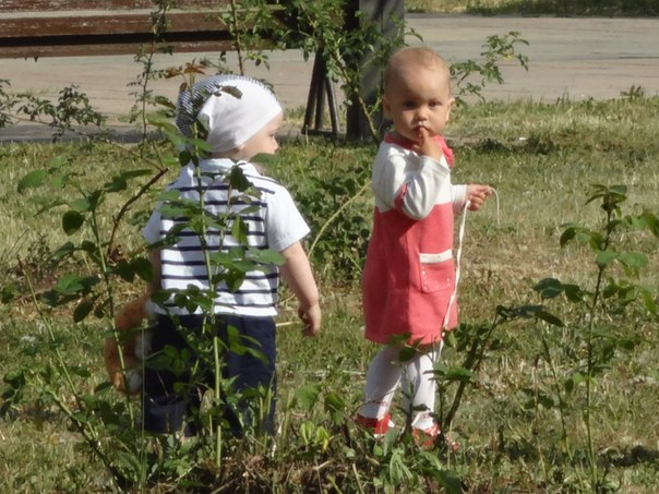 лето, ах лето...