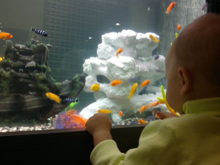 14 и 15 июня...