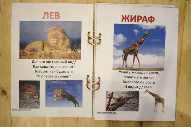 Наши книги в 1 год. Осторожно, Очень много фото!