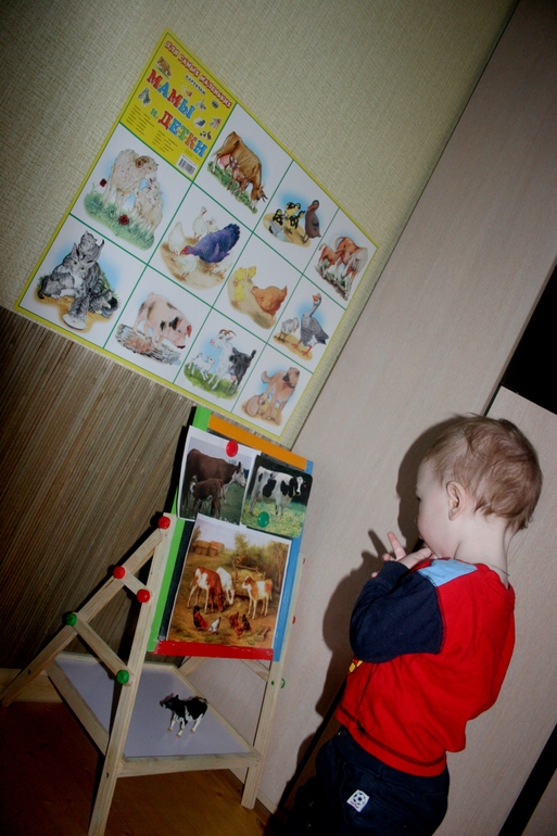 ТН