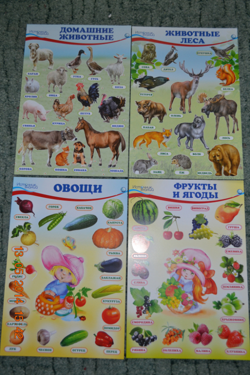 Мой первый заказ в My-shop.ru