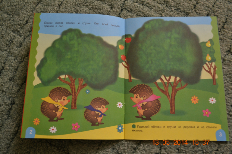 Мой первый заказ в My-shop.ru