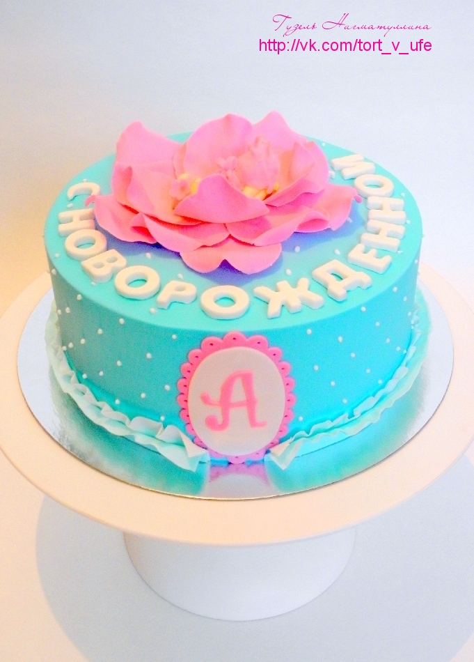 Торт с новорожденной!