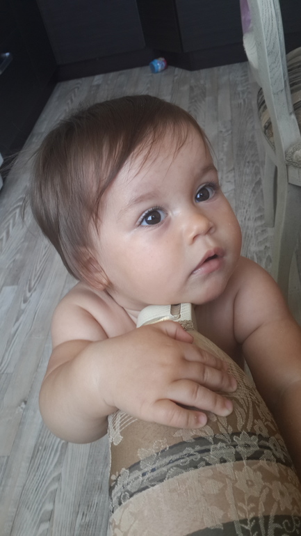 кошечки ,как подстричь лапушку