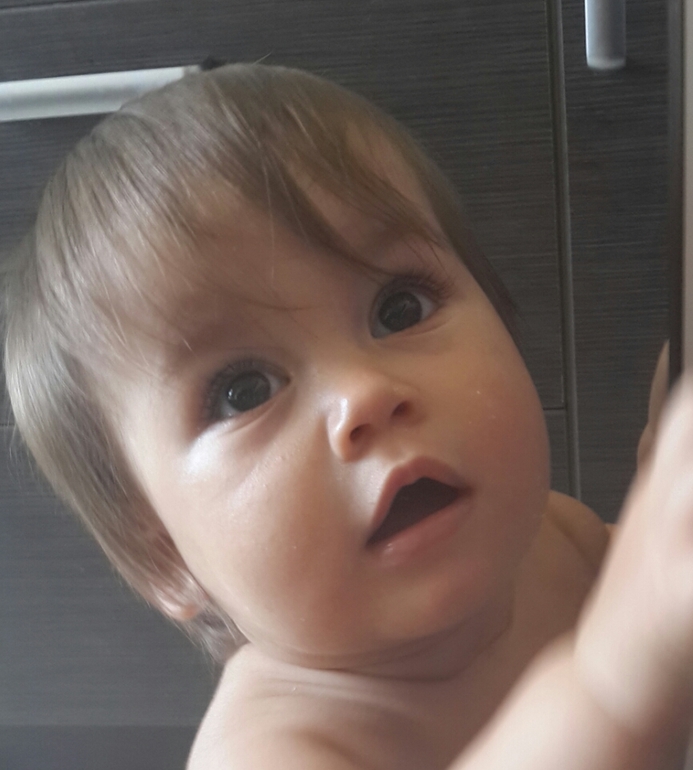 кошечки ,как подстричь лапушку