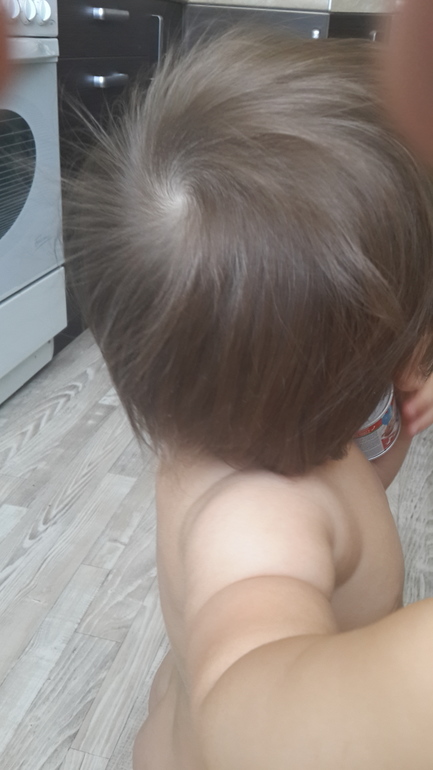 кошечки ,как подстричь лапушку