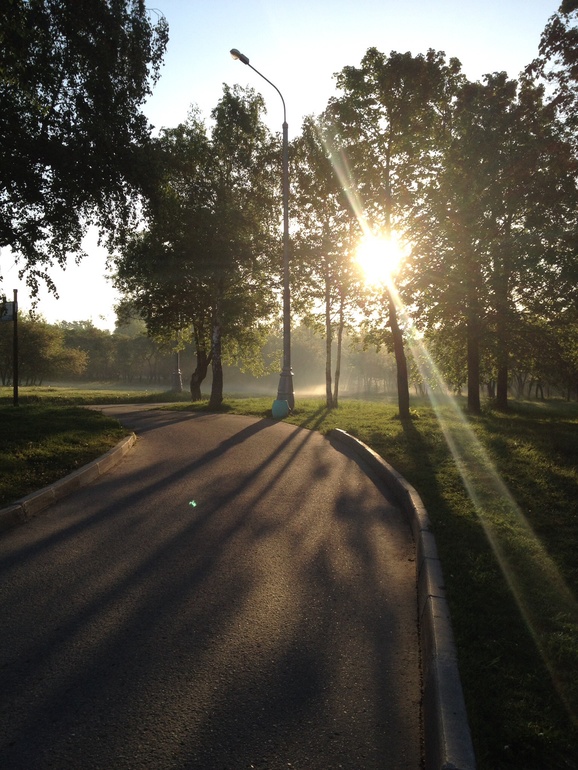 Утренний бег!