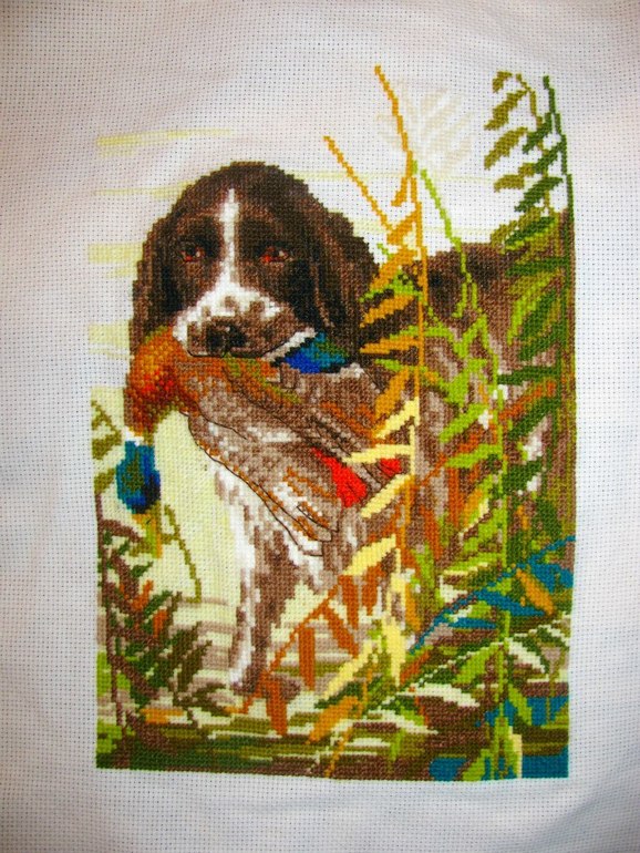 На охоте от Риолиса.