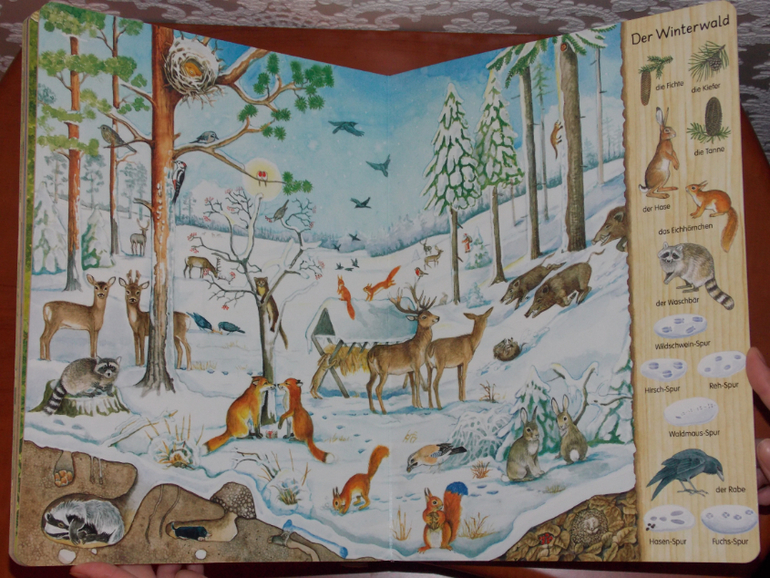 Развороты Mein erstes Wimmelbuch - Im Wald by Christine Henkel