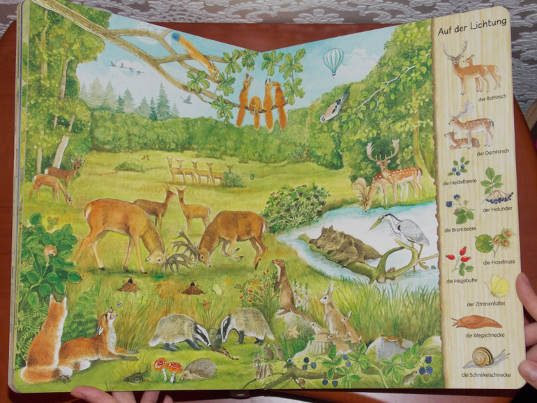 Развороты Mein erstes Wimmelbuch - Im Wald by Christine Henkel