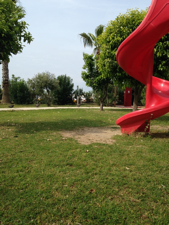 Вернулись из Турции)) (фото)