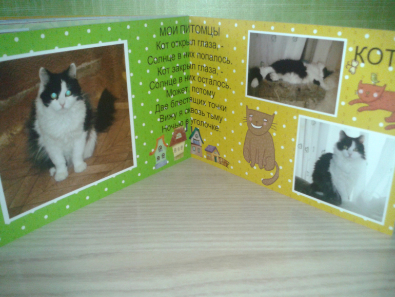 Развивающие фотоальбомы