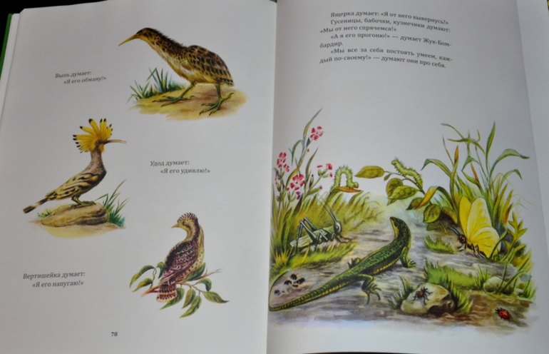 Очередное книжное (11)