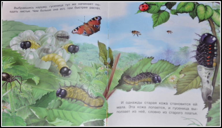 Книгообзор 5