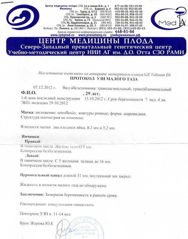 Мой первый провальный протокол.