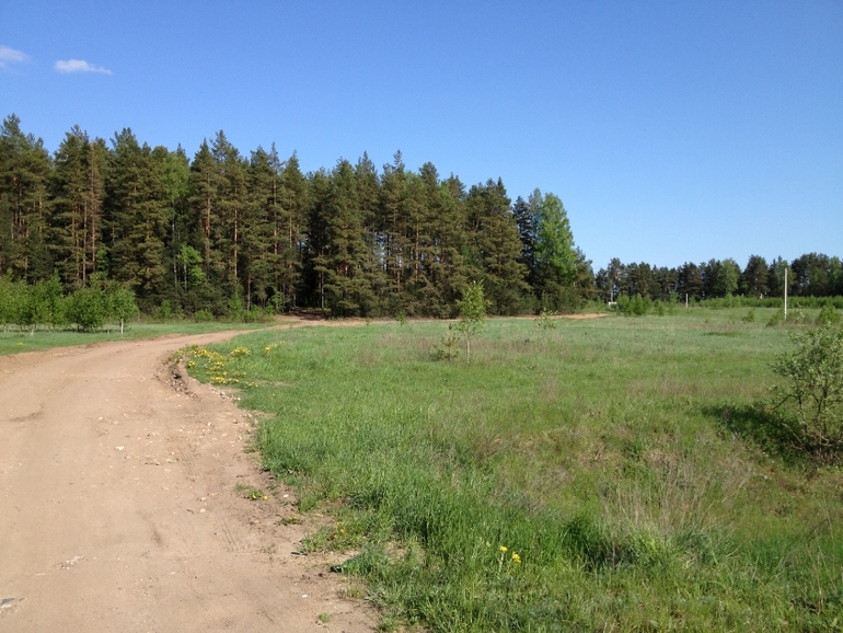 Участок 10 соток у озера_Тверская обл.