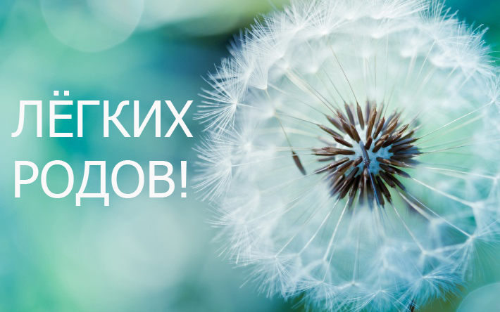 5bfe16422c08a6a36831792028608e54.jpg