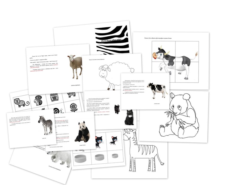 Жила- была одна зебра.... (с раздачей материала)