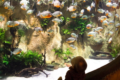 Going out. Кирюха 1,5 года