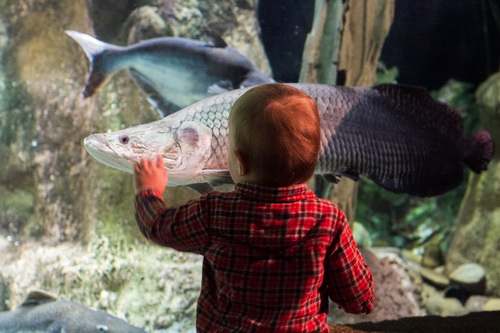 Going out. Кирюха 1,5 года