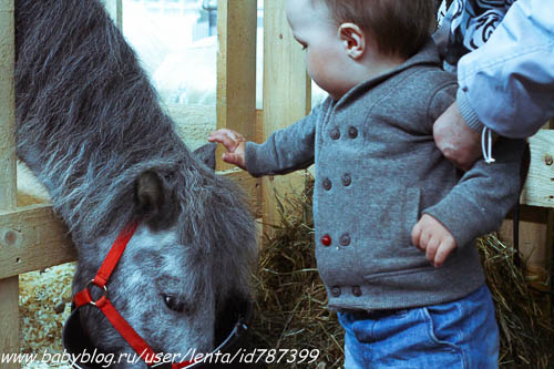 Майские на волне вежливости. Где мы были, как мы жили.