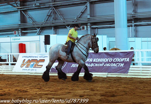 Майские на волне вежливости. Где мы были, как мы жили.