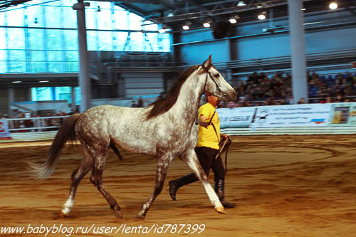 Майские на волне вежливости. Где мы были, как мы жили.