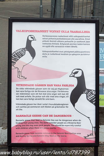 Going out. Коркеасаари. Кирюхе 1,10