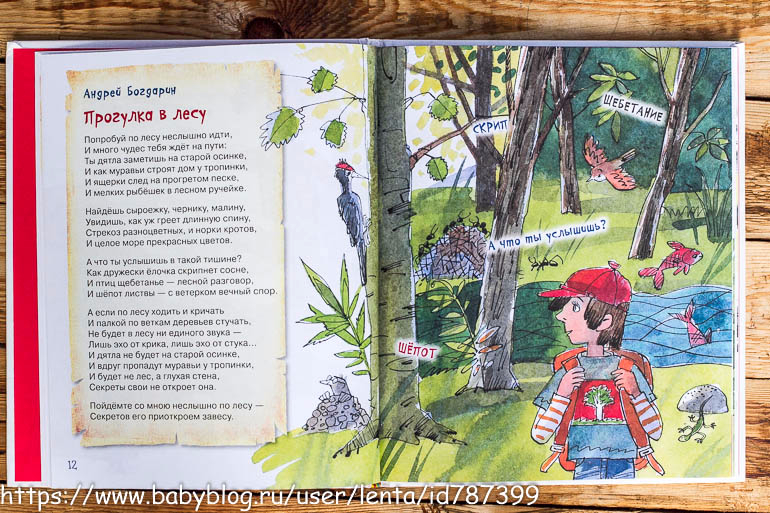 Маленький рассказ в лесу. Лесная поэзия для детей. Стихи про лес для детей. Стихи про прогулки в лесу для детей. Стих прогулка в лесу.