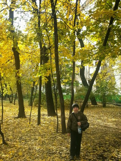 Золотая осень.