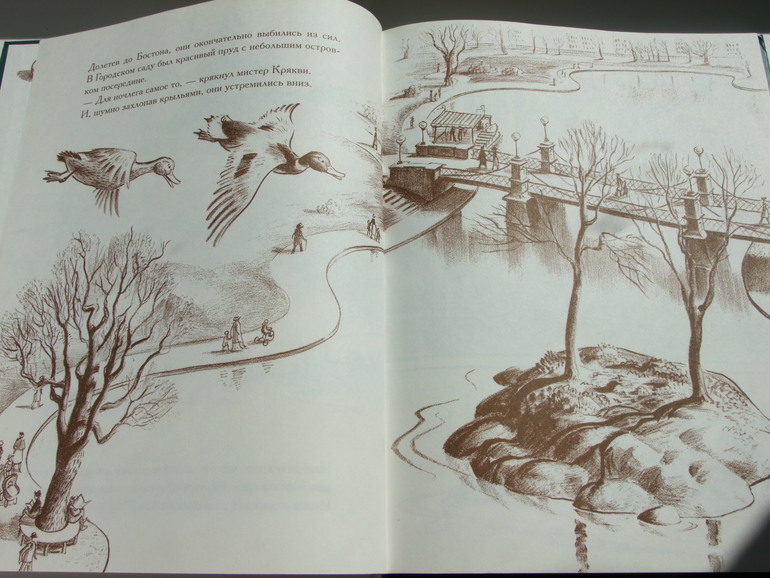 Дорогу утятам! Роберт Макклоски.